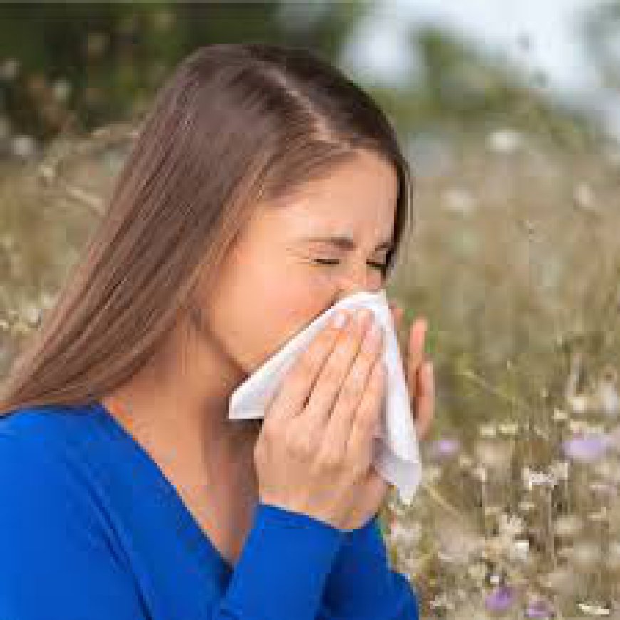 How Moving to a Different Climate Can Affect Your Allergies?