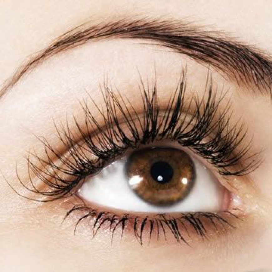 Your Eyebrow Hair Transplant Journey: From Thin to Fabulous