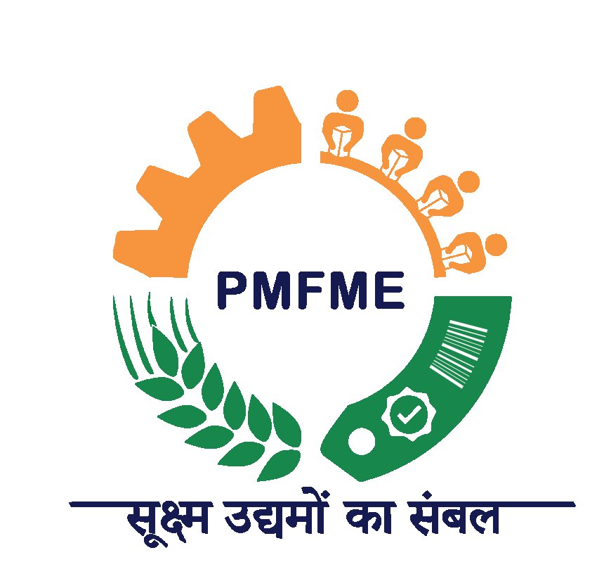 Understanding the Impact of the PMFME Scheme on MSMEs