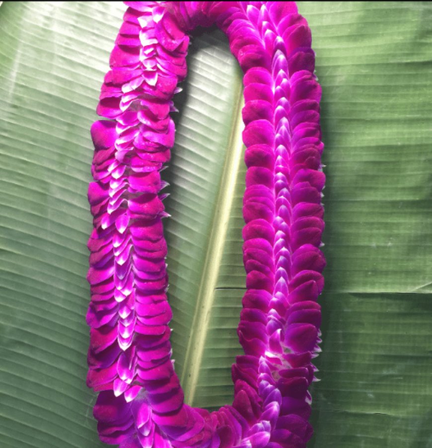 Why Orchid Lei Are Perfect for Weddings and Celebrations