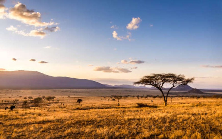 Top Cultural Experiences to Enjoy on a Kenya Visa