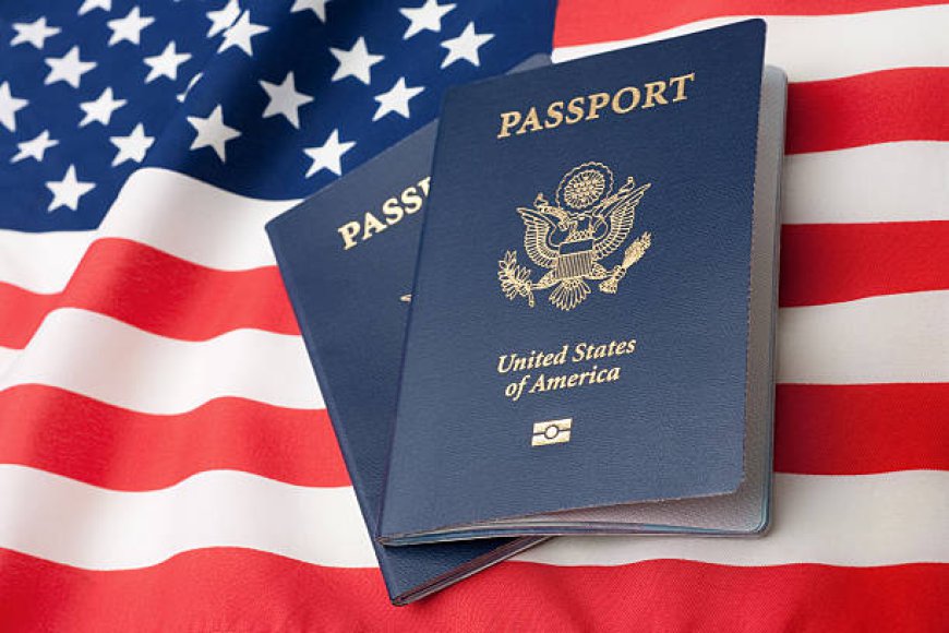 How Brandosaur Enhances Your Chances of Securing an O-1 Visa and EB1A Green Card