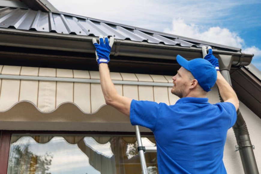 Preventing Costly Roof Damage: Hamilton Homeowner's Guide