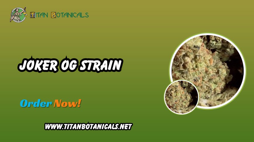 Joker OG Strain: A Premium Exotic Cannabis Experience by Titan Botanicals