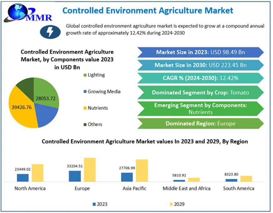 Controlled Environment Agriculture Market Segmentation, Outlook, and Overview Trends | 2024-2030