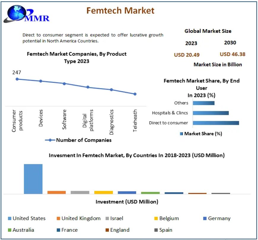 Femtech Market Statistical Spectrum: Unveiling Segmentation, Outlook, and Overview Trends | 2024-2030