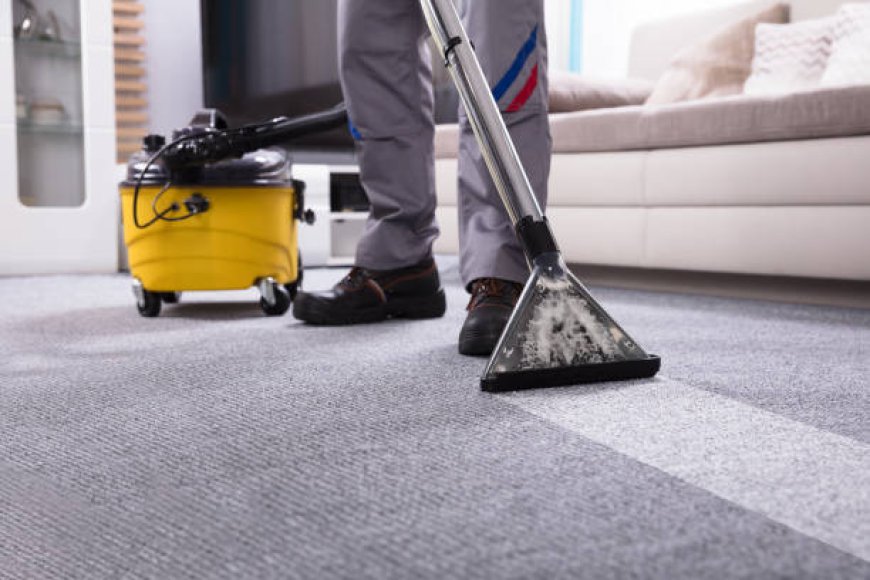 Deep Carpet Cleaning Best Practices Professionals Follow