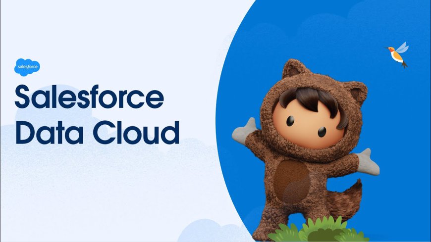 Understanding Salesforce Data Cloud and Its Benefits