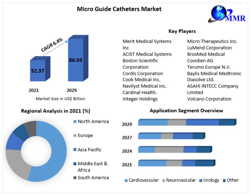 Micro Guide Catheters Market Size, Key players Analysis, Future Trends, Revenue and Forecast 2030