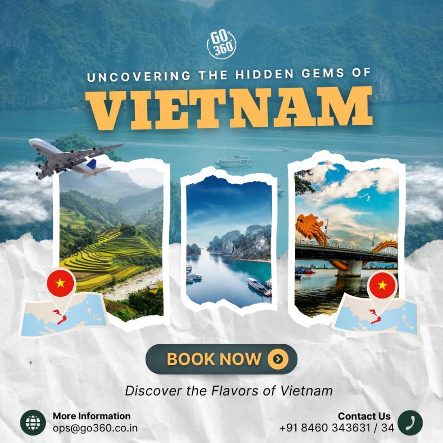 Vietnam on a Budget: Affordable Tours and Tips for Saving Money