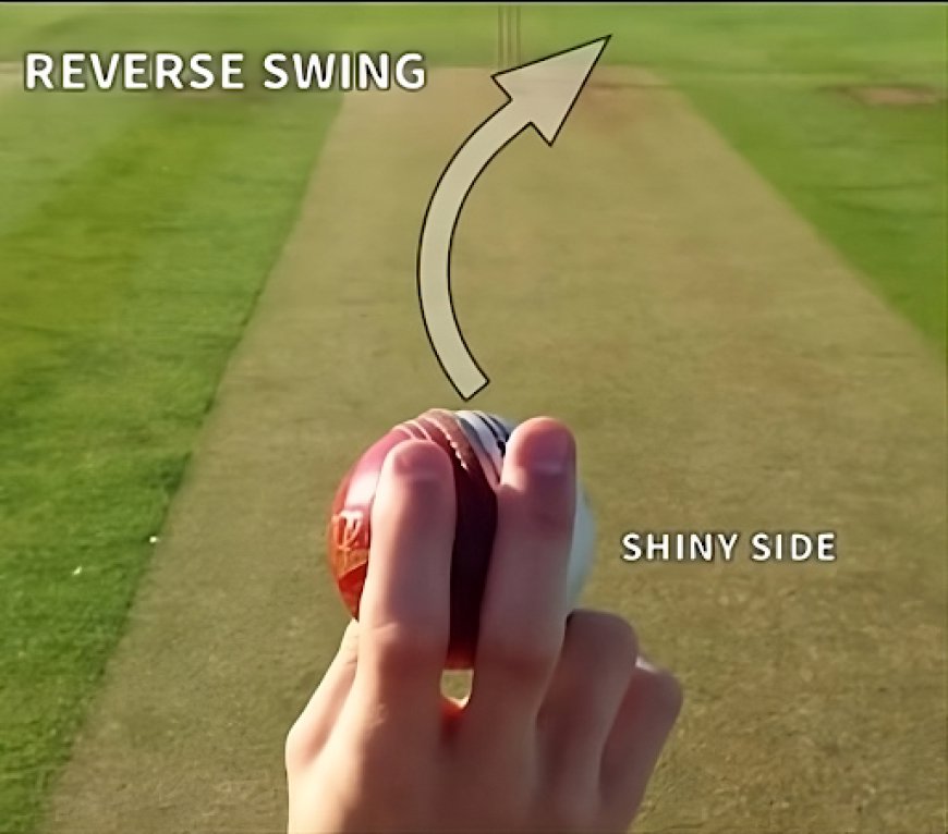 Reverse Swing in Cricket: How to Bowl It and Leave Batsmen Clueless