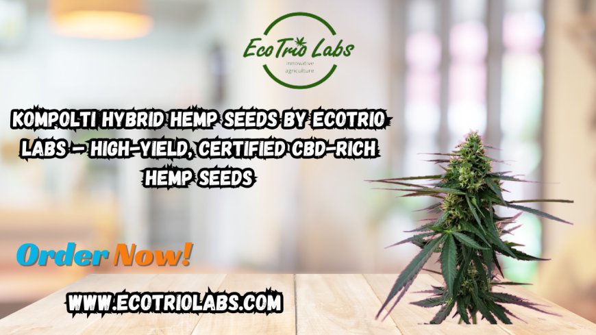 Kompolti Hybrid Hemp Seeds by Ecotrio Labs – High-Yield, Certified CBD-Rich Hemp Seeds