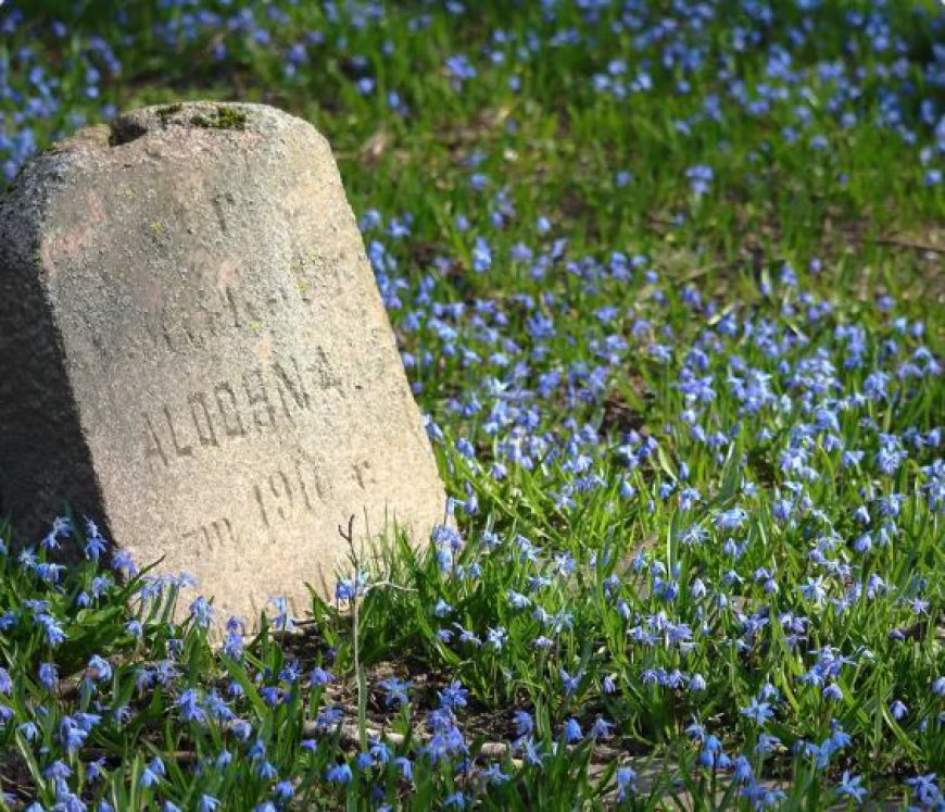 Discover the Beauty and Craftsmanship of Central Monument Shreveport