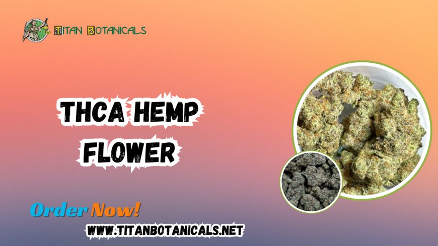 Premium THCA Hemp Flower: Your Ultimate Guide to AA Acidic Hemp Flower by Titan Botanicals