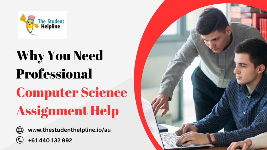 Why You Need Professional Computer Science Assignment Help