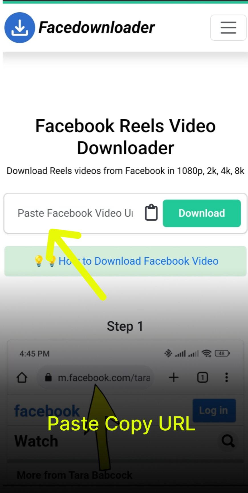 Get Your Online Facebook Video Downloader Tool – Free Reel Video Download in a Few Clicks