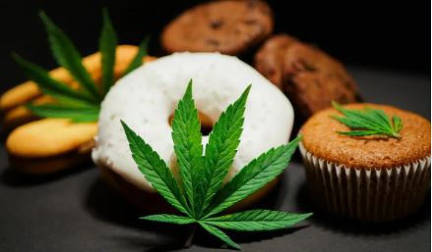 Cannabis Infused Edible Products Market Analysis, Trends & Forecast