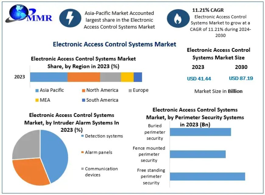 Electronic Access Control Systems Market Statistical Spectrum: Unveiling Segmentation, Outlook, and Overview Trends | 2024-2030