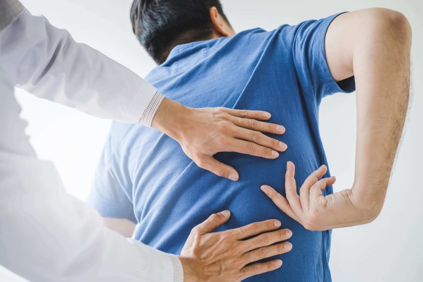 The Benefits of Performance Physical Therapy for Back Pain Relief