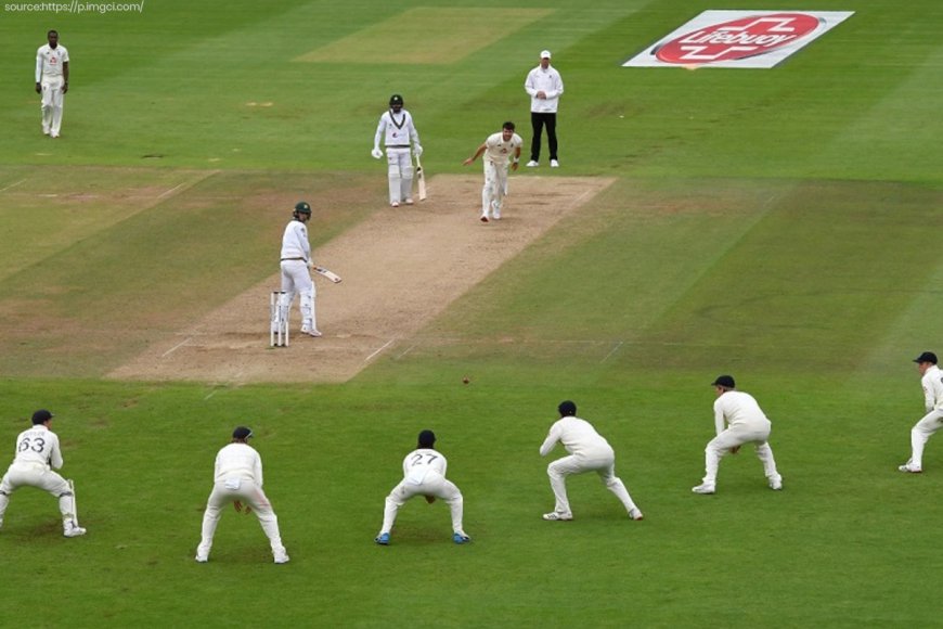 11 Types of Cricket Dismissals: Your Go-To Guide