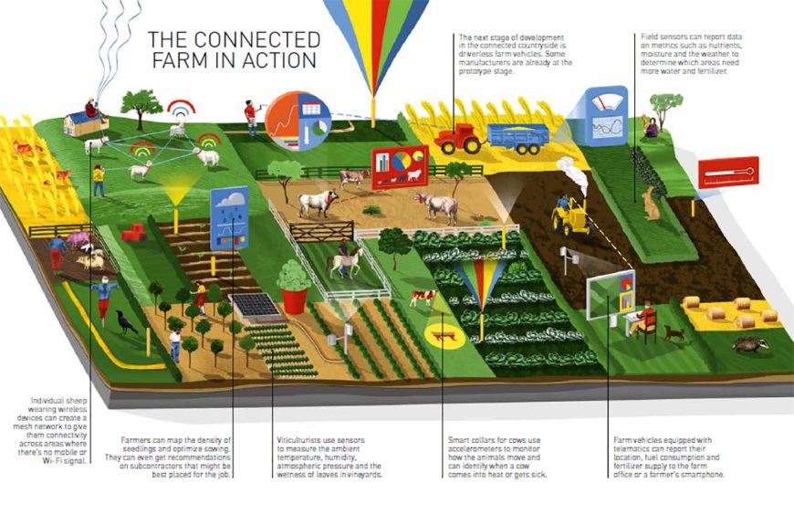 Smart Agriculture Market Tomorrow's Tapestry: Market Size, Share, and Emerging Technologies | 2024-2030