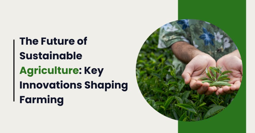 The Future of Sustainable Agriculture: Key Innovations Shaping Farming