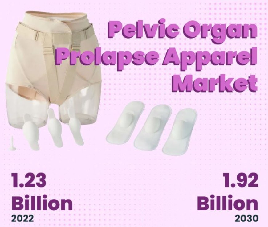 Pelvic Organ Prolapse Apparel Market Size & Analysis by 2023 -2030 | Honeywell, Genetec, Bosch, Cisco