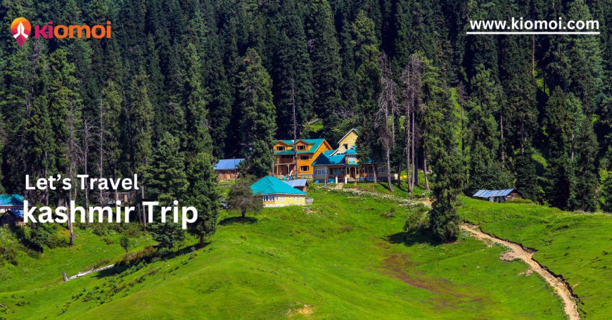 How to tangmarg to gulmarg and influence people