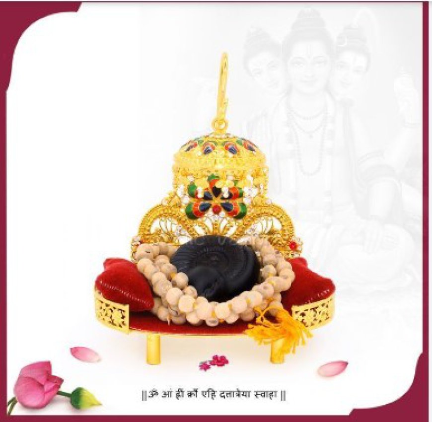 Buy All Types Of Shaligrams & Shaligram Accessories Online