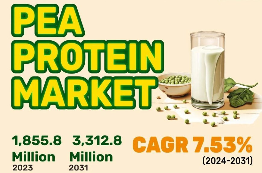 with a CAGR 7.53% Pea Protein Market Global Industry set to Reach USD 1,855.8 Million by 2031 | Says KR