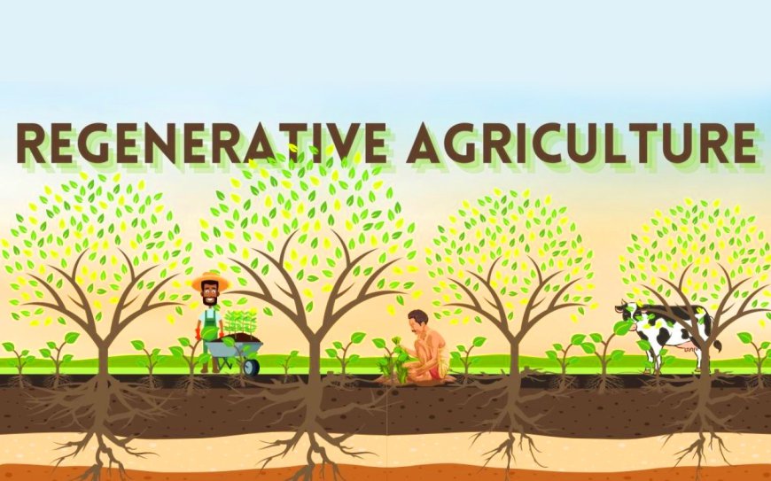 Regenerative Agriculture Market Global Industry Set to Surge to USD 18.35 Billion by 2031 at a 12.33% CAGR