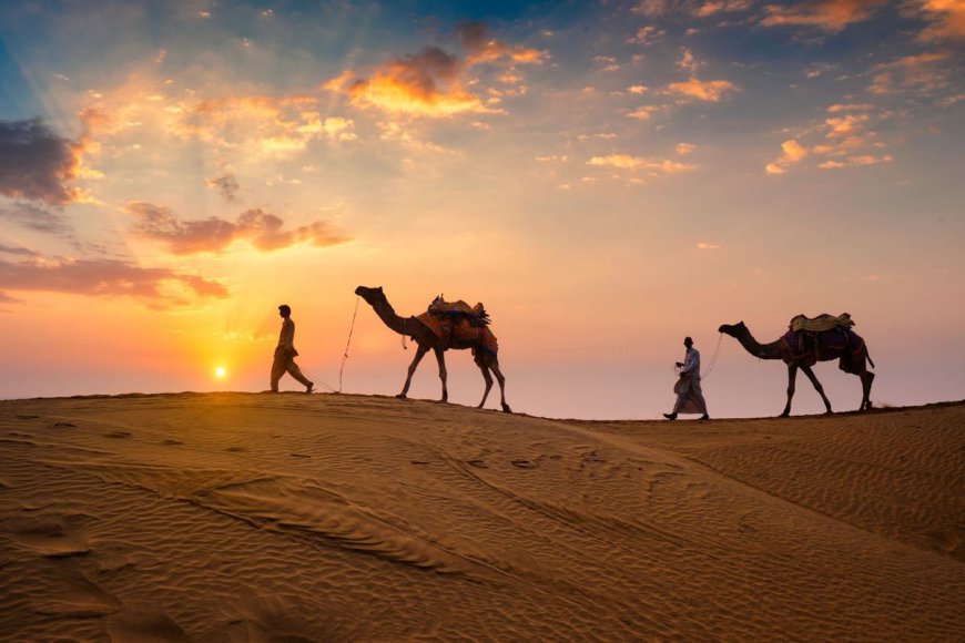 Rajasthan Honeymoon Packages: A Guide to Unforgettable Romance