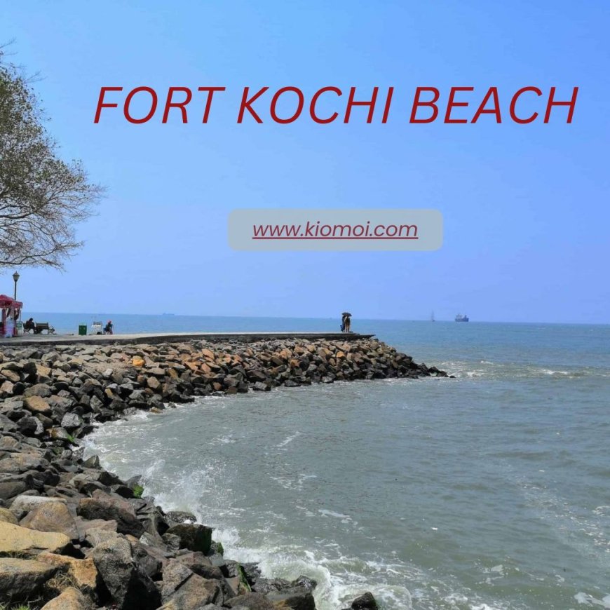 Exploring Fort Kochi Kochi Kerala: The Heart of Kochi, Kerala