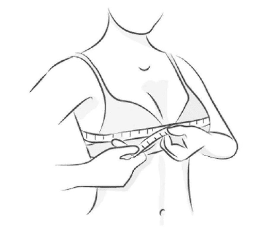 Top Strapless Bras: Finding the Right Fit