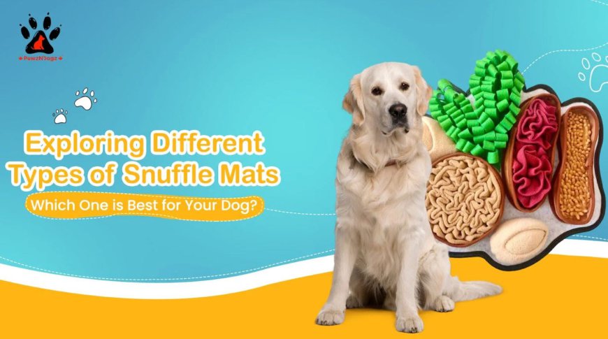 Exploring Different Types of Snuffle Mats: Which One is Best for Your Dog?