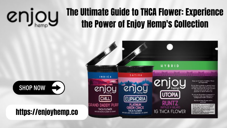 Explore Enjoy Hemp's Premium THCA Flower Collection