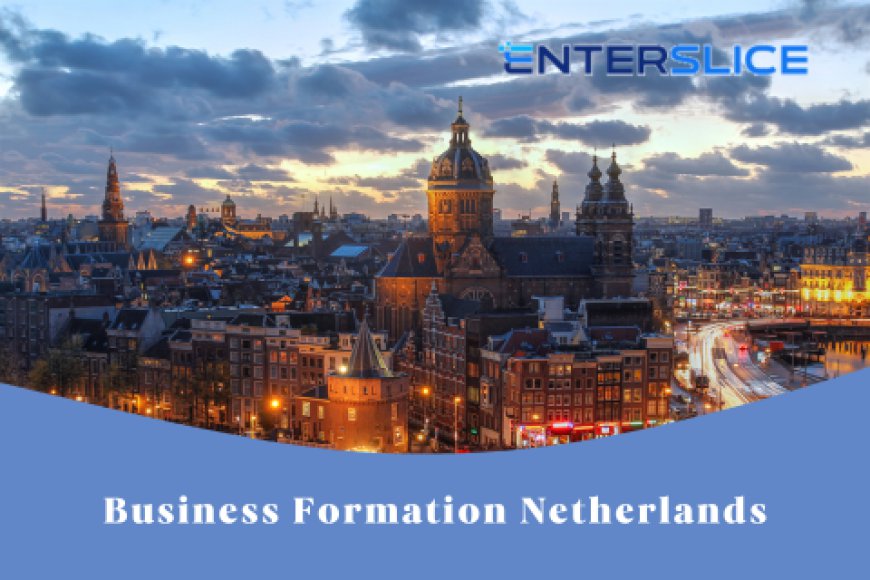 Understanding Netherlands Business Structures: How to Choose Between BV, NV, and More