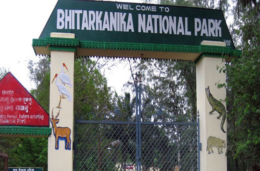 Exploring Bhitarkanika National Park: A Haven of Biodiversity in Odisha