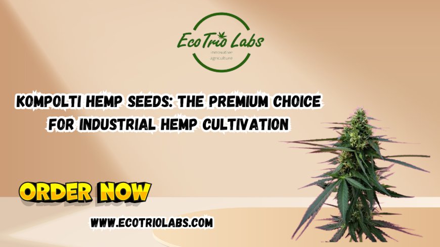 Kompolti Hemp Seeds: The Premium Choice for Industrial Hemp Cultivation