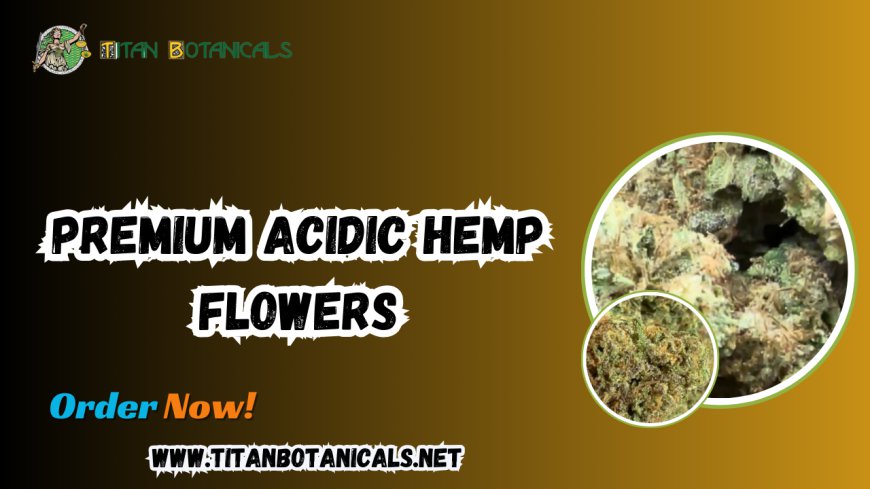 Premium Acidic Hemp Flowers: The Best THCa Products at Titan Botanicals