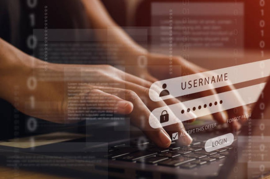 United States Password Management Market 2029: Size, Trends, Competitive Landscape, and Forecast