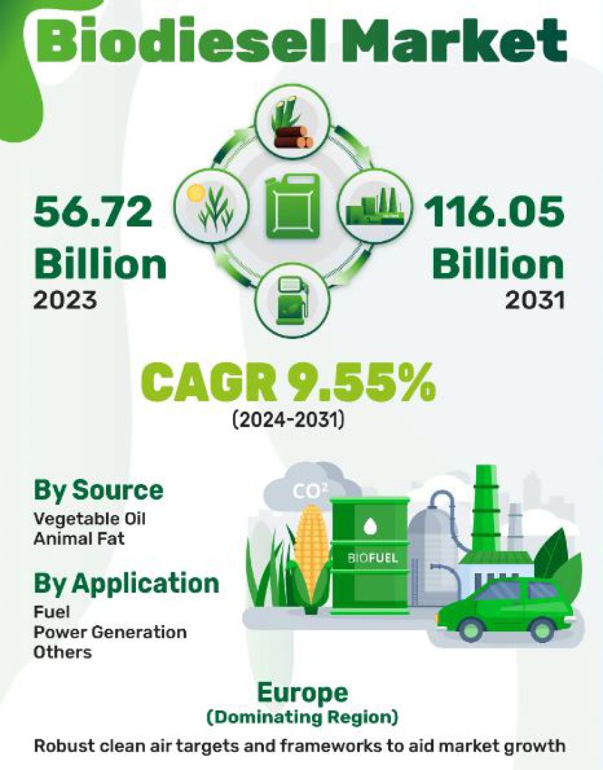 Biodiesel Market Trends, Drivers and Future Outlook | 116.05 Billion by 2031 with a 9.55% CAGR