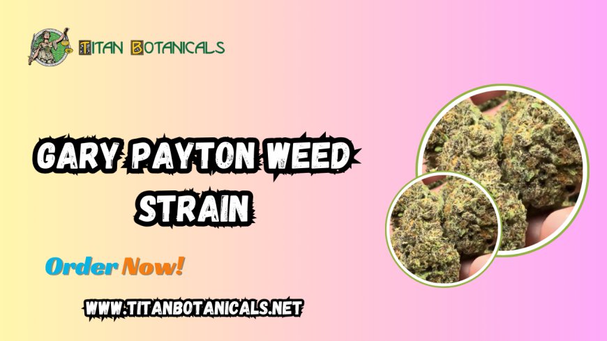 Gary Payton Weed Strain: Premium THCa Flower by Titan Botanicals