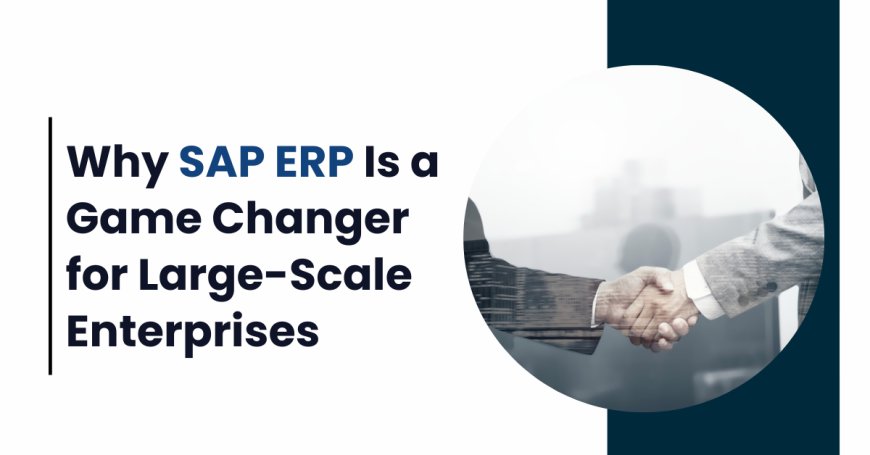 Why SAP ERP Is a Game Changer for Large-Scale Enterprises