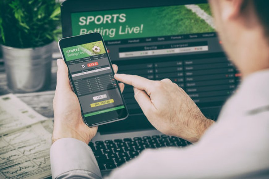 ﻿Top Features Every Bettor Should Look for in the Best Site for Sports Betting