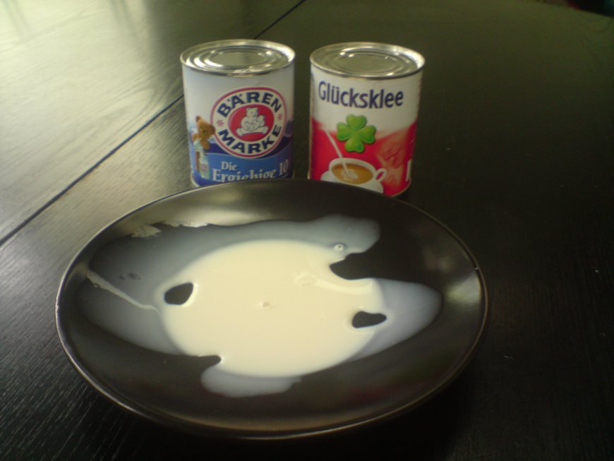 Evaporated Milk Market: Industry Size and Growth Trends [2029]