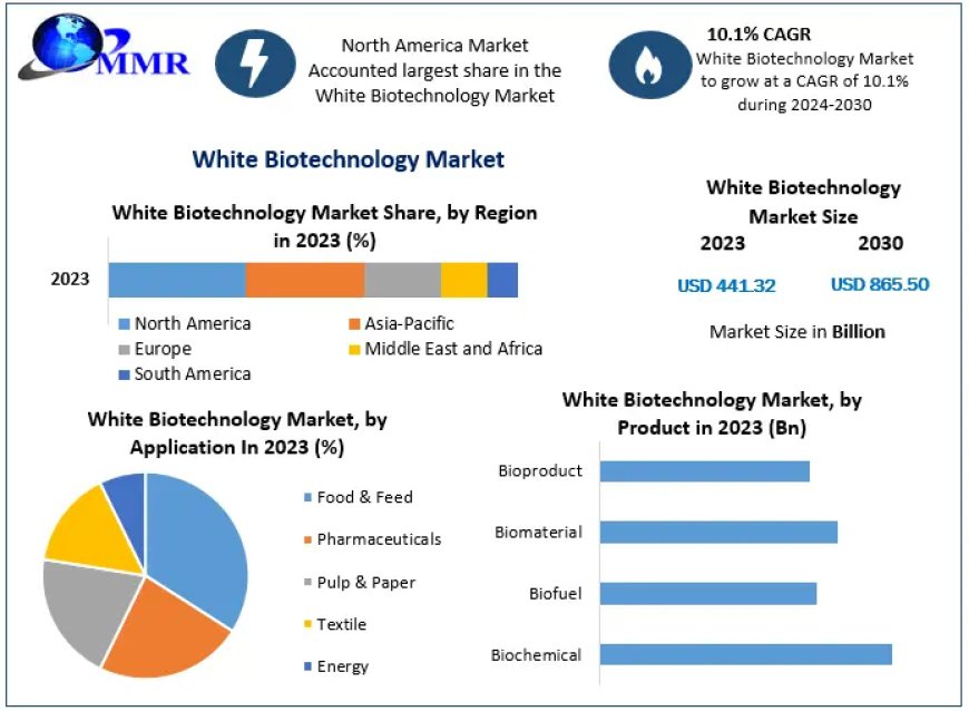 White Biotechnology Market Size, Share, Revenue, and Worth Statistics | 2024-2030