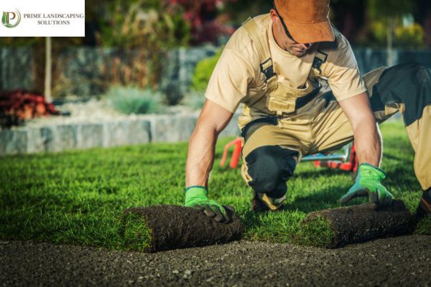 Reasons Why You Should Hire Landscape Contractors In Pymble