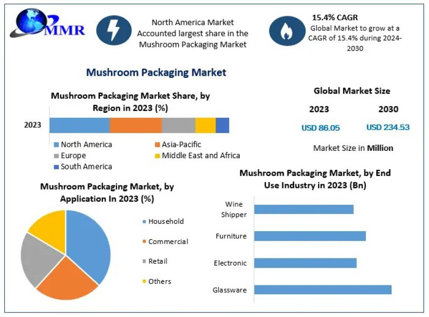 Mushroom Packaging Factory Innovations: Leading the Way Towards Eco-Friendly Solutions by 2030