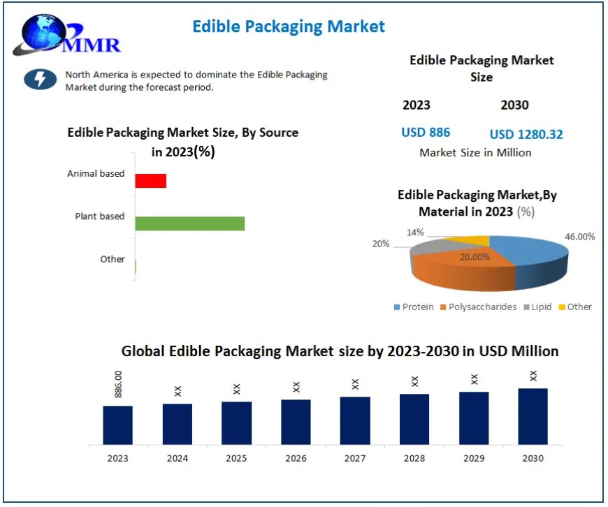 Edible Packaging Market Size, Share, Revenue, and Statistics Overview | 2024-2030